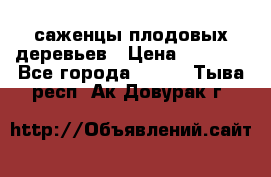саженцы плодовых деревьев › Цена ­ 6 080 - Все города  »    . Тыва респ.,Ак-Довурак г.